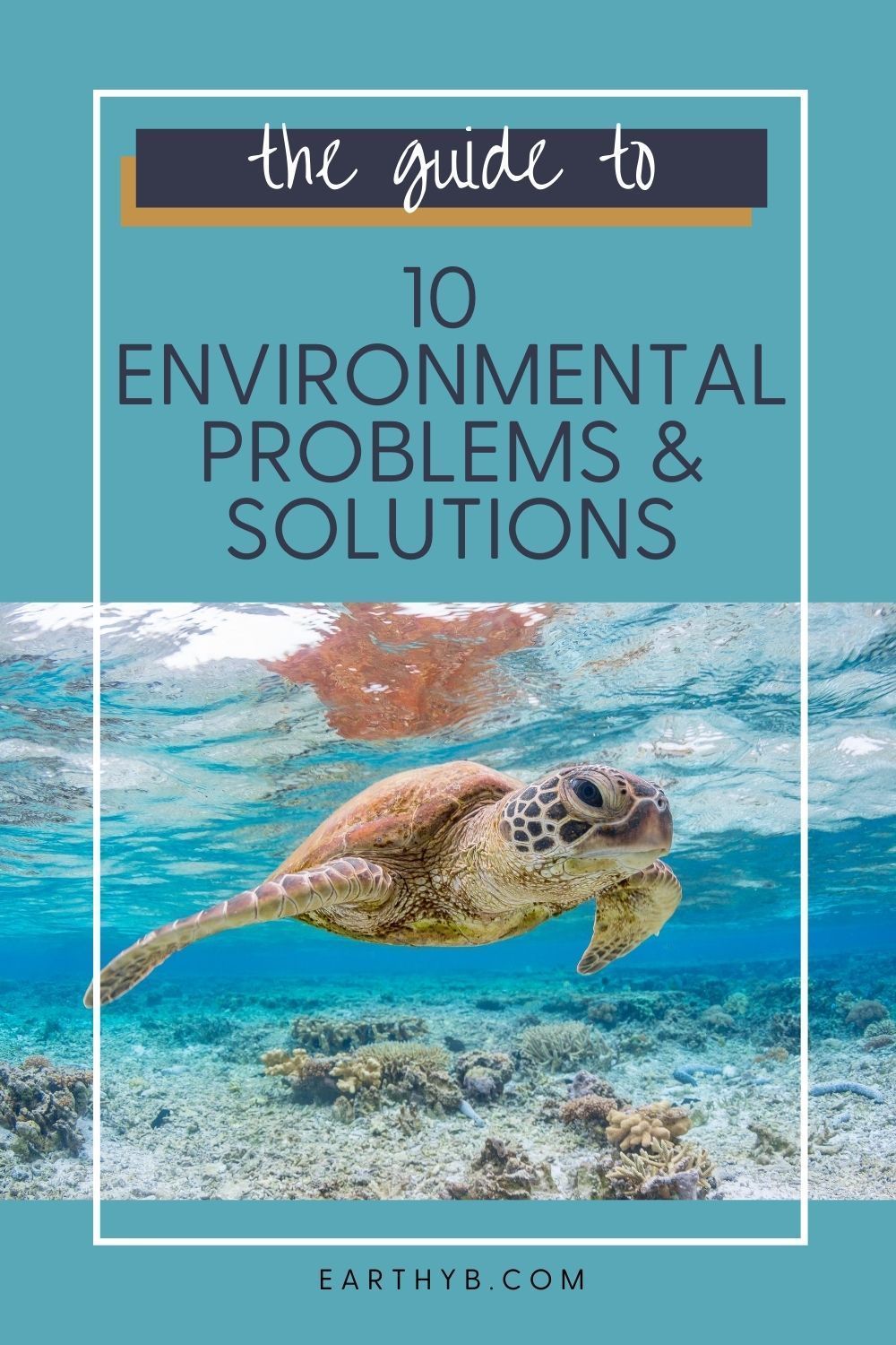 5 steps to solving environmental problems