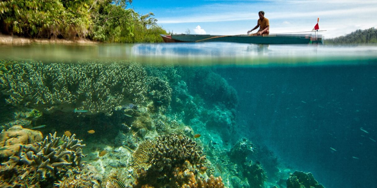 Man on boat and coral below on the ocean floor. 